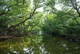 四草生態文化園区