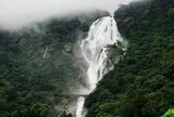 Dudhsagar Falls Trip