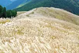 岩湧山