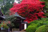 栄摂院