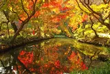 11月　京王百草園