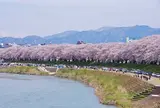 足羽川