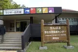 やんばる野生生物保護センター