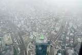 東京スカイツリー