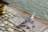 Eteläsataman kauppatori