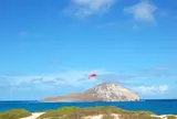 ラビット島