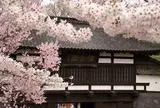 懐古園
