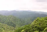 神宮司庁 神路山事業所
