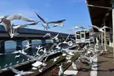 浜名湖佐久米駅