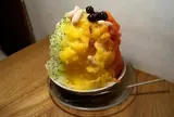 木と根