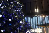 銀座山野楽器 本店