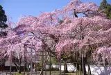 醍醐寺