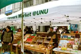 Farmer's Market