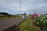 とちぎのふるさと田園風景百選「上籠谷町」