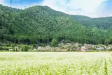 かやぶきの里