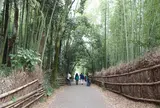 竹林の小径