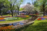 国営昭和記念公園