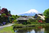 忍野八海