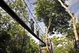 Forest Research Institute Malaysia (FRIM)