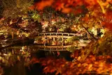 永観堂（禅林寺）