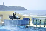 新江ノ島水族館