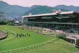 日本中央競馬会札幌競馬場