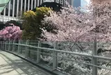 アークヒルズ