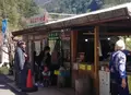 川売の梅の写真_68314