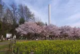 芦花公園