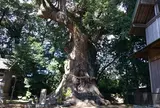 来宮神社