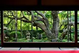 宝泉院