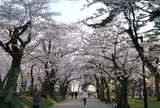 千秋公園