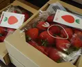 奥山いちご農園 | plateの写真_124547