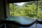 斐乃上荘  ひのかみ  斐乃上温泉