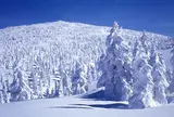 樹氷の森吉山～阿仁ゴンドラに乗って～