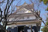 金華山山頂岐阜城に到着しました