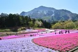 4月　羊山公園