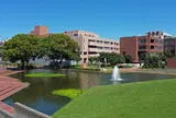 筑波大学