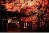 六義園