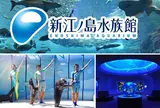 新江ノ島水族館