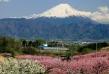 中央本　線新府駅〜穴山駅