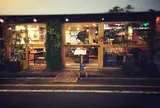 STUDY