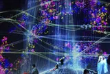 デジタルアート ミュージアム(MORI Building Digital Art Museum: EPSON teamLab Borderless)