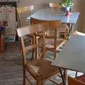 シャムアの写真_22180
