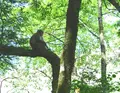横尾の写真_33882