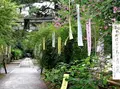 梨木神社の写真_72419
