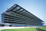 東京競馬場