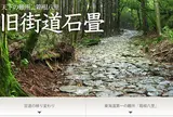 箱根旧街道　石畳
