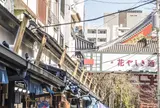 花やしき通り