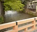 祇園白川の写真_423317
